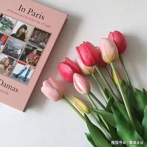 精辟唯美的朋友圈短句,积极阳光,鼓励自己做努力进取的人