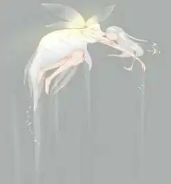 十二星座专属手绘壁纸,水瓶座携手彼岸花,双鱼座唯美浪漫