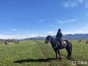 奇遇人生,遇见旱獭乐队,遇见自己