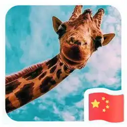 优店启程微信官方,你的头像会加上国旗吗