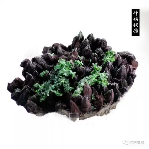 2018中国矿物精品展都有哪些特色矿物