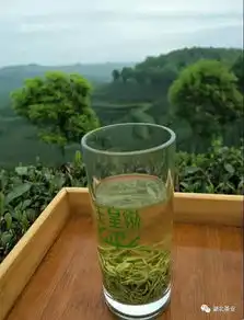 剑拔绿张,东风十里又是一年开园季