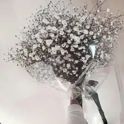 让鲜花代羞涩的你开口,温暖被感恩的心