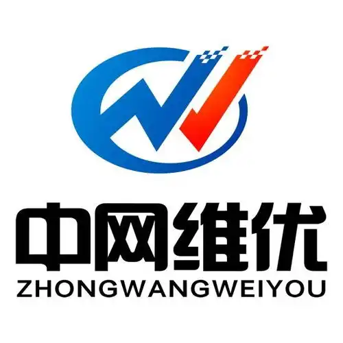 武汉中网维优网络科技有限公司