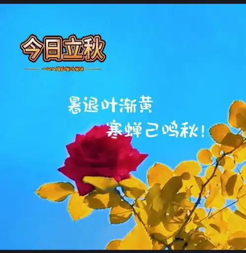 2024.8.7立秋图片最新文案愿这个秋天平安健康,所思所想皆浪漫