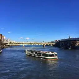 东京一个人的旅行,发现不一样的风景日本人气零食测评及化妆品价格