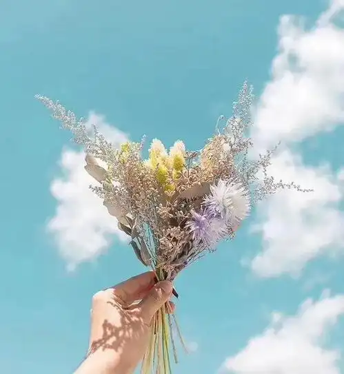 关于抑郁症