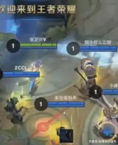 张艺兴玩王者荣耀昵称,看清昵称后,网友衣服个性