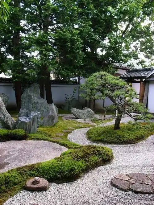 绿芜墙绕青苔院