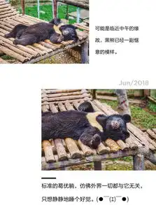 前方高能疯狂动物城有猛兽出没,请保管好自己的小心脏