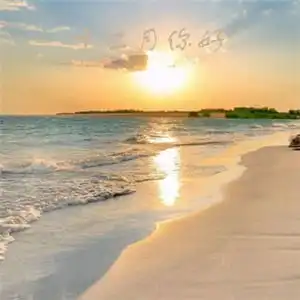 测试一个超长简介的文章