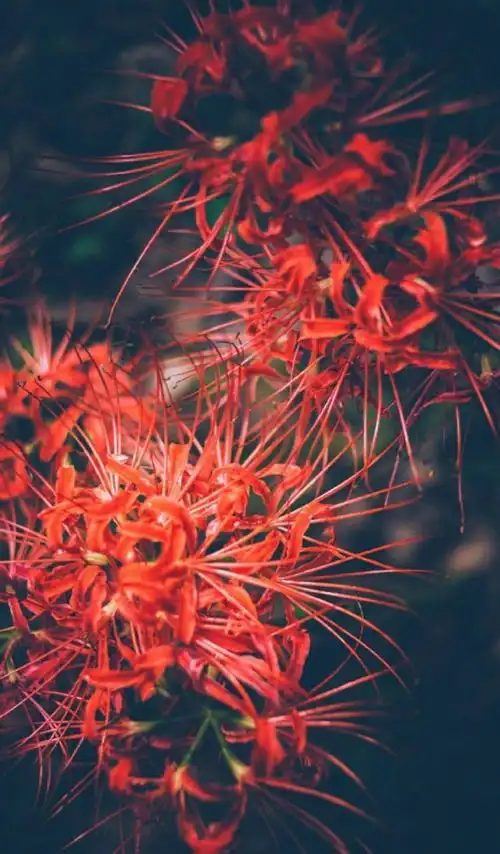 倒霉快走开,好运快来,有几个星座要抓住机会