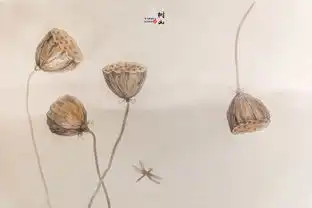 一段小清新的洗肺之旅