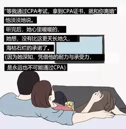 等我考过cpa,我就和你离婚