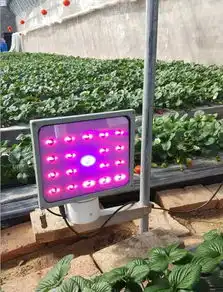 厂家直销植物生长灯大棚补光灯价格厂家直销植物生长灯大棚补光灯型号规格