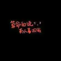 唯美伤感没有分类的纯文字头像,各种各样的都有