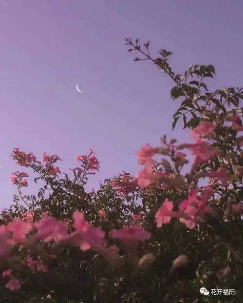 七夕原来所有牵手,都是两颗星的相遇