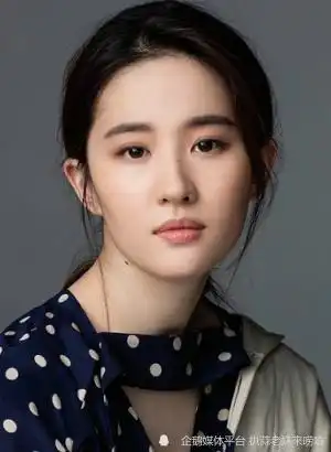 玫瑰的故事,刘亦菲真实人生记录成名录上的转折点