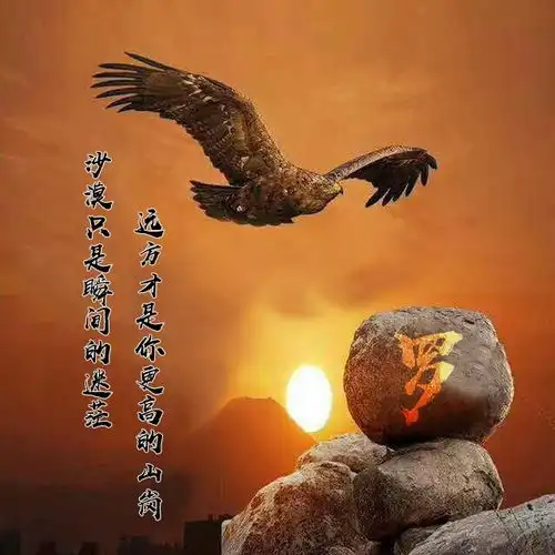 十几款微信头像做好了,大气连笔艺术签名头像,你留言我设计