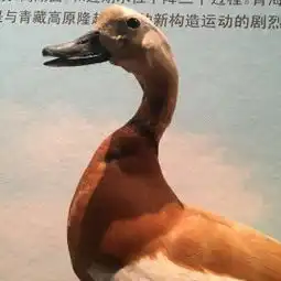 青藏高原自然博物馆门票,西宁青藏高原自然博物馆攻略地址图片门票价格