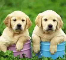 黄页88高清图片