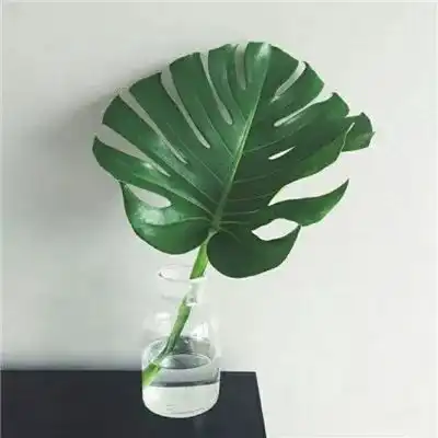 测试一个超长简介的文章