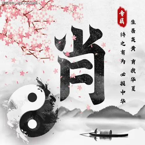 中国风姓氏头像来袭,24张太极黑白风格,打造你的专属标志
