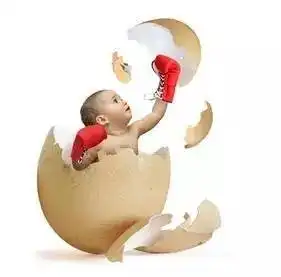 卵子成熟障碍,怎么破解
