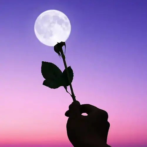 唯美微信头像