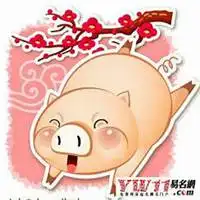 属猪微信好运吉祥招财头像微信头像图片大全
