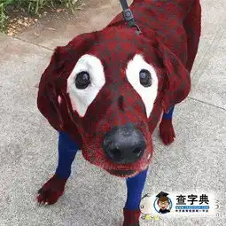 测试一个超长简介的文章