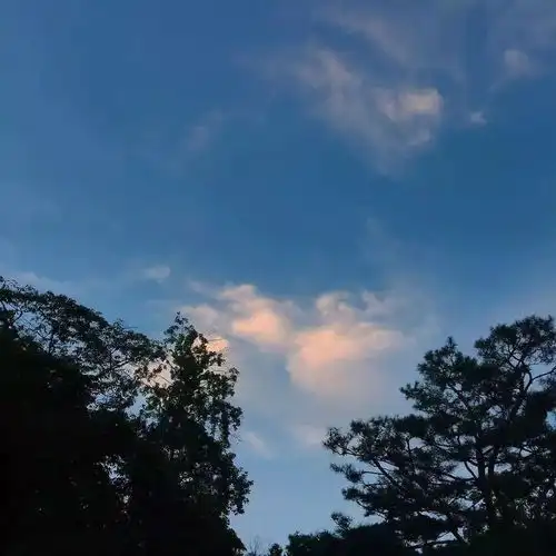 伤感扎心语录