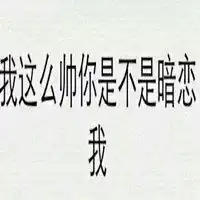 测试一个超长简介的文章