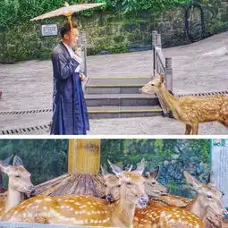 成都疯狂动物城一日游前方高能猛兽出没,请保管好自己的小心脏