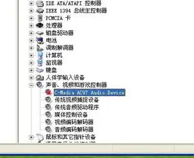 重装系统后声卡显卡都没反应