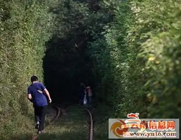 西安小清新铁路网络走红,两边绿树茂盛充满欧洲风情
