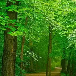 测试一个超长简介的文章