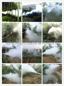 农用烟雾机价格大棚打药机厂家弥雾机图片-黄页88网