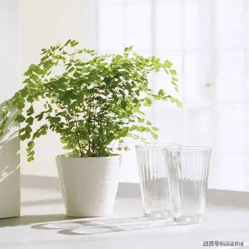 装修设计墙面发霉起皮开裂,终于找到原因了,别怪我没提醒你