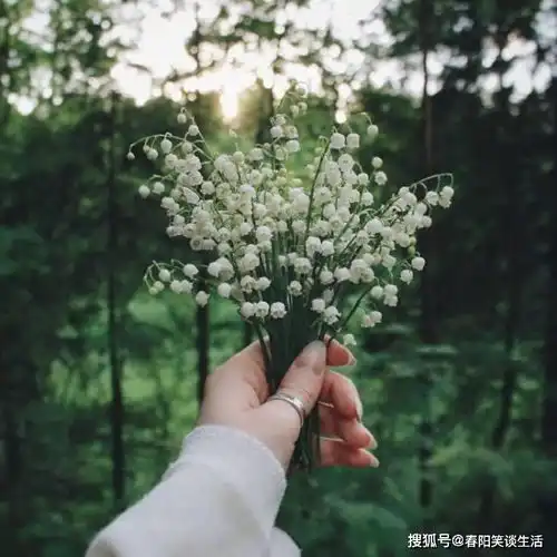 阳光励志的早安心语句子,唯美精辟,发朋友圈激励自己