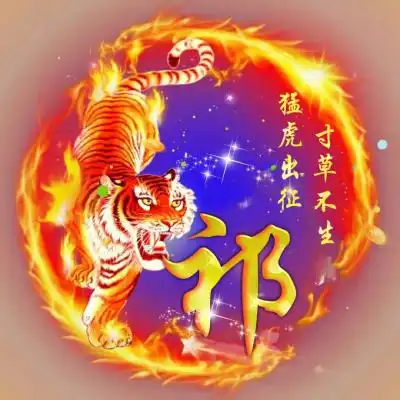 烈火老虎头像虎虎生威猛虎出征漂亮霸气