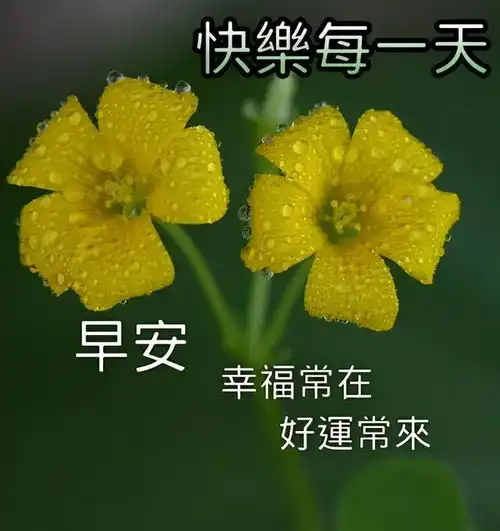 伸懒腰笑一笑,美好的一天又开始了,早安