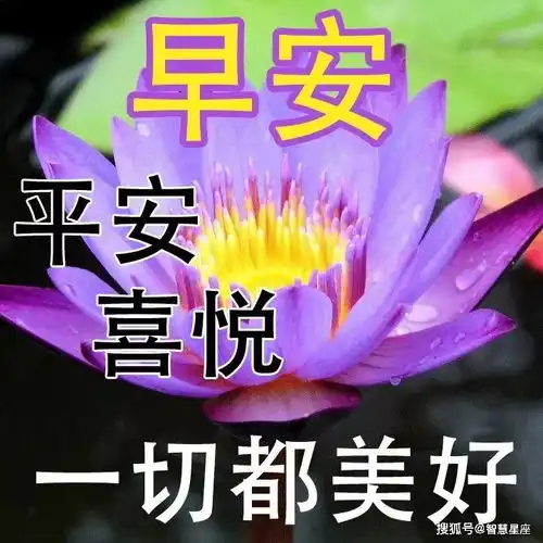 正月十九分享朋友圈最美早上好快乐祝福短信大全,温馨的早上好祝福唯美图片