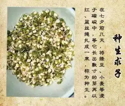 龙财小团丨今天七夕哦