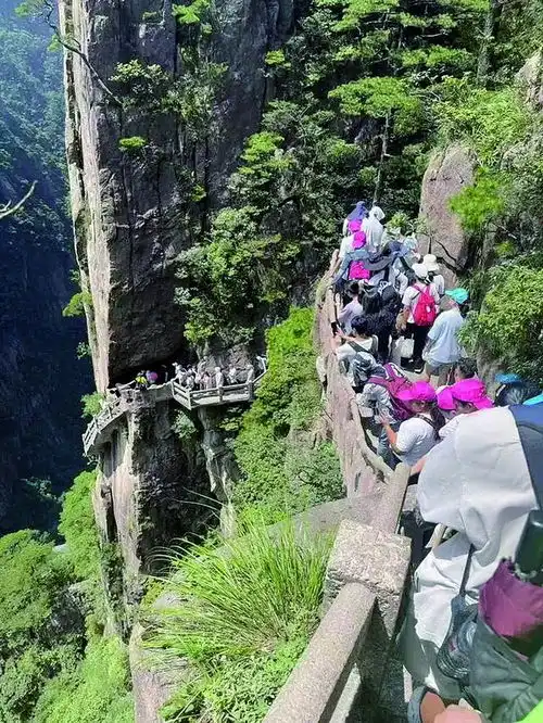 一边是热门景区游客爆满另一边旅企却大面积亏钱