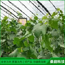 植物生长灯专用价格植物生长灯专用批发植物生长灯专用厂家hc360慧聪网