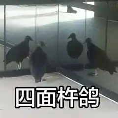 张熊熊的相册肥宅复健