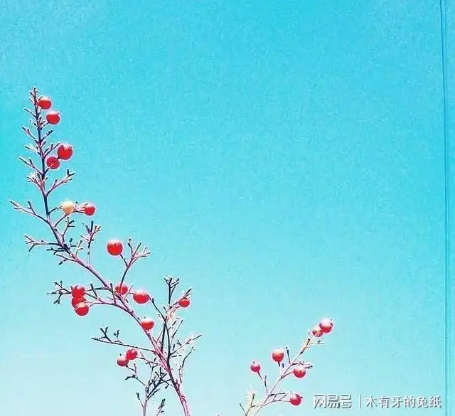 2021有内涵的晚安文案,句句经典,引人深思