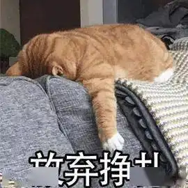 西澳入境旅客数量即将翻倍,国防军却要撤走了