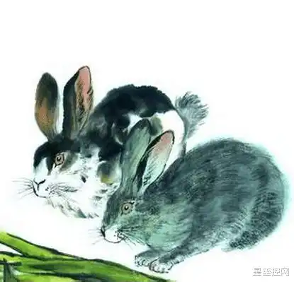 正月十五月圆人圆,3生肖种下好运果,福气能加倍,从此顺利